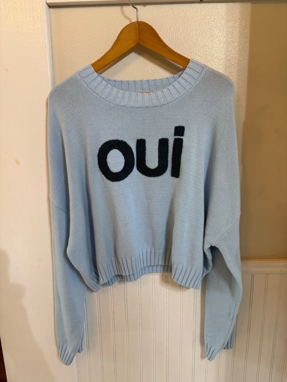 Sincerely Jules Light Blue 'oui' Crewneck Sweater